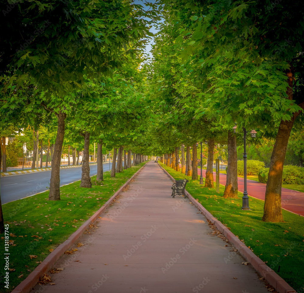 red walking road