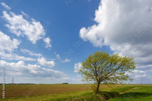 Arable Farmland in Cambridgeshire on a Sunny Spring Day