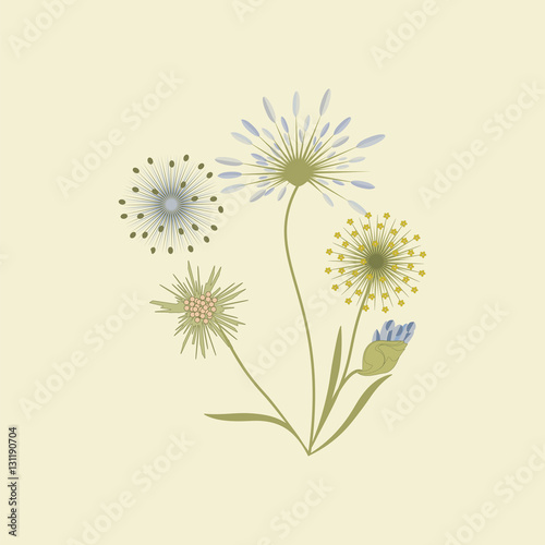 wildflowers isolated on a light background art creative vector element for design