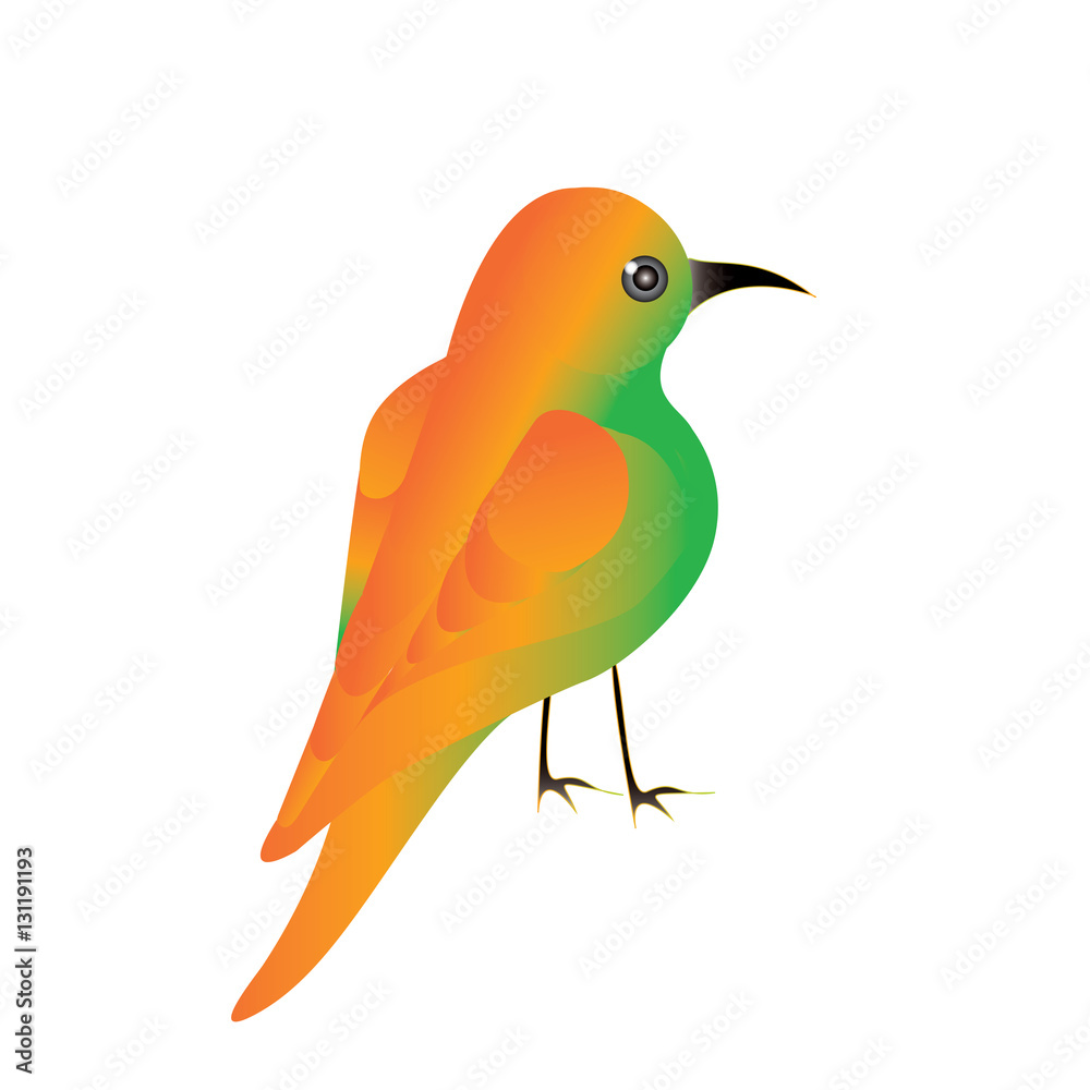 Fototapeta premium hummingbirds meropidae colibri bright yellow plumage isolated on a white background art creative modern vector element for design