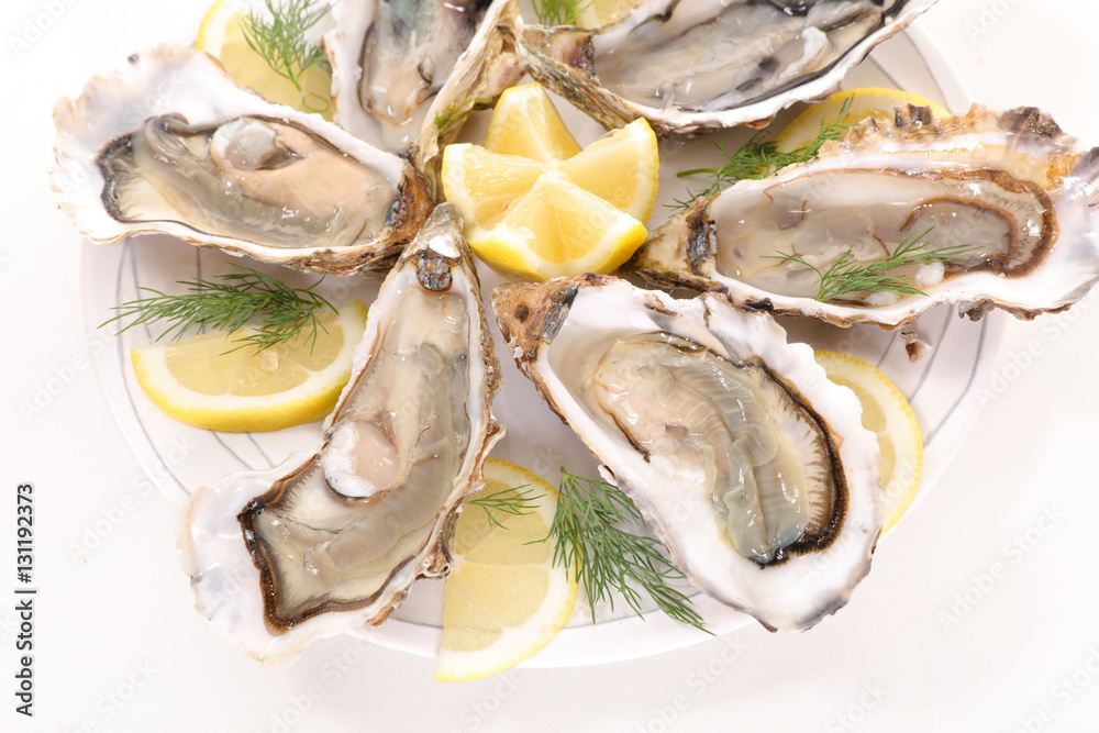 oyster oyster