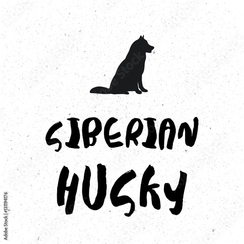Cute siberian husky vector