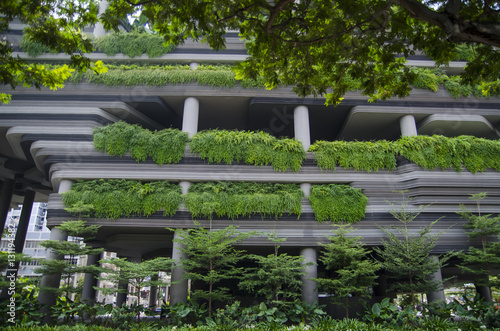 Photography Skyscraper wall with green plants terraces