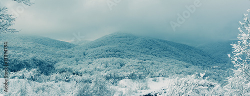 Fototapeta Naklejka Na Ścianę i Meble -  panoramic winter landscape, the snow-covered forest on the hills in the early morning. tinted photo