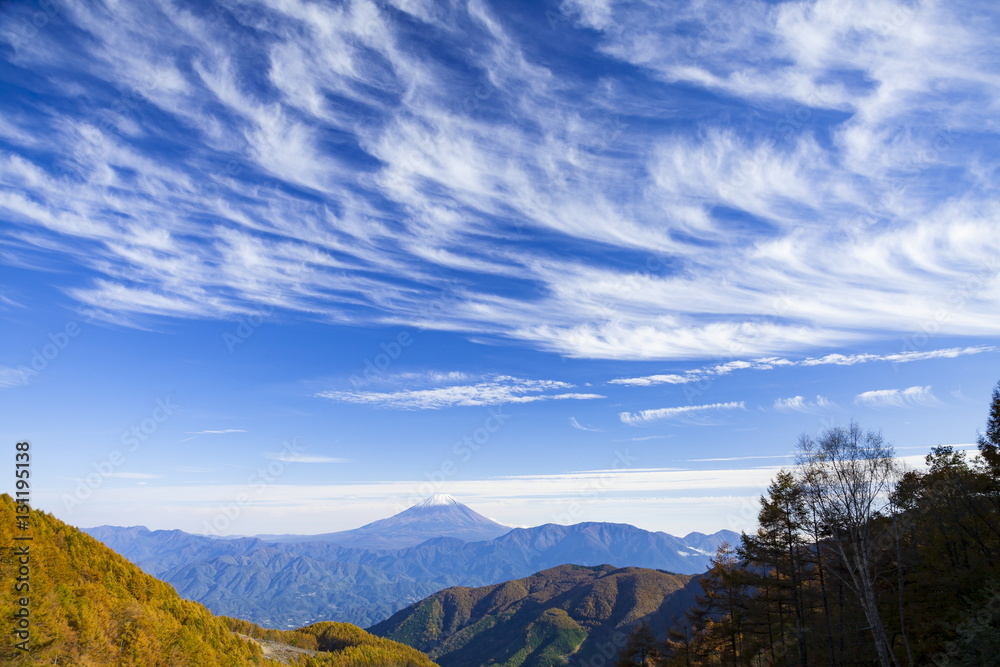 丸山林道から見る富士山 丸山林道から見る富士山
