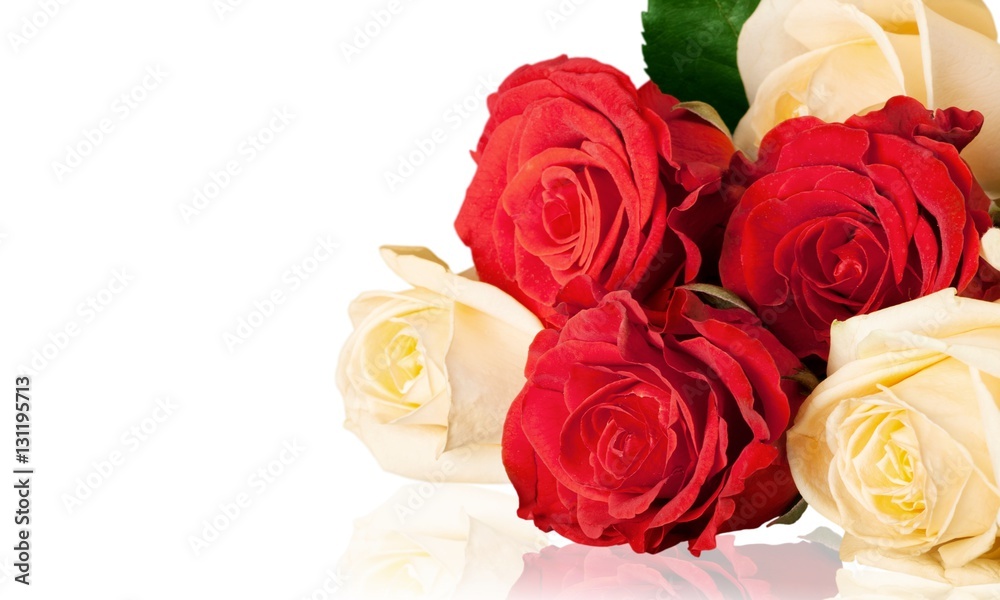 Fototapeta premium Rose.