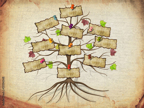 family tree illustration