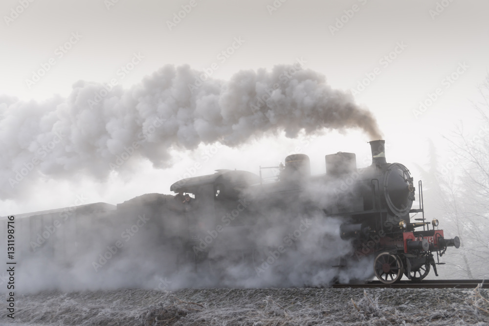 Fototapeta premium Steam train running in the fog