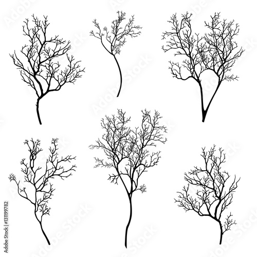 tree branch silhouette set