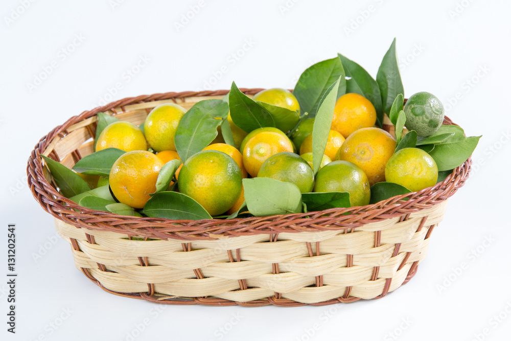 Kumquat Kumquat