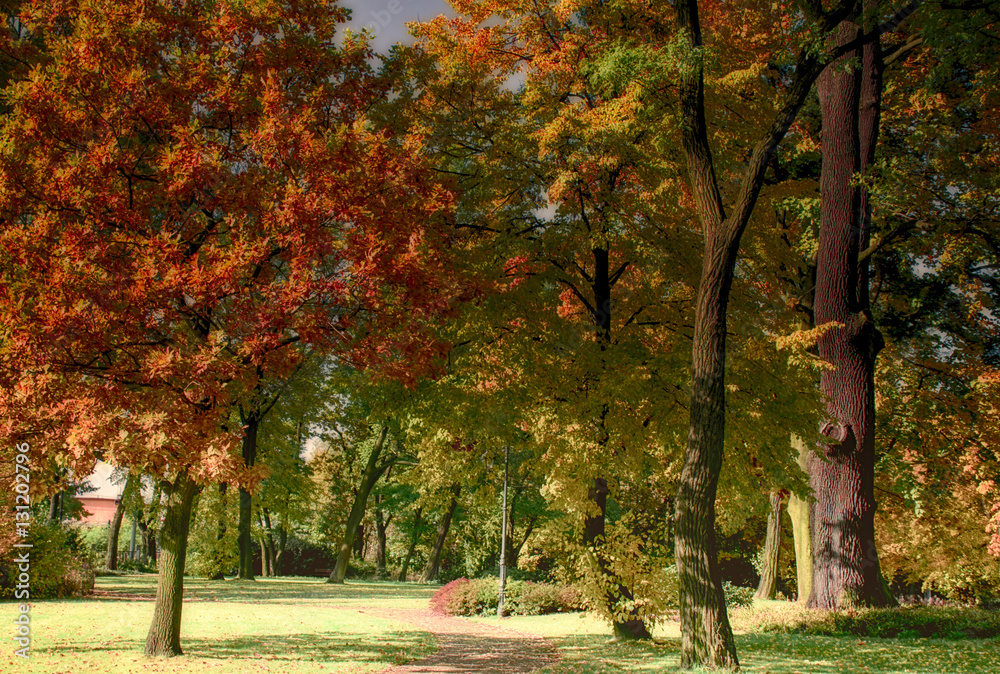 Fototapeta premium Park Pałacu w Boryni Jastrzębie