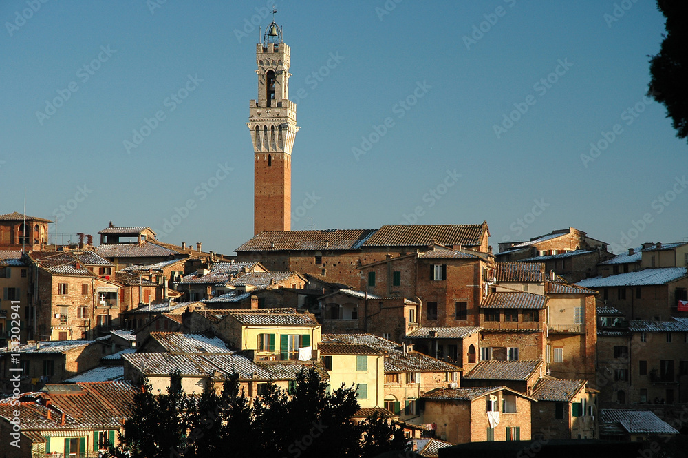 Cityscape of Siena, in the hearth of Tuscany, Italy.