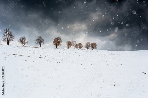 Early winter landscape. Alley of trees on a snowy mountain hill.