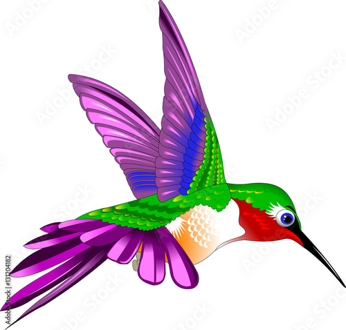 hummingbird