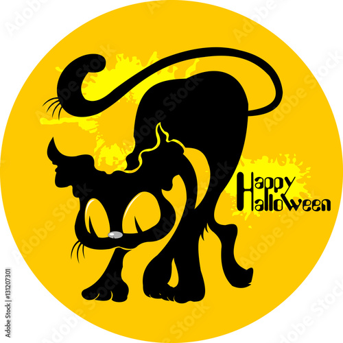Cat halloween