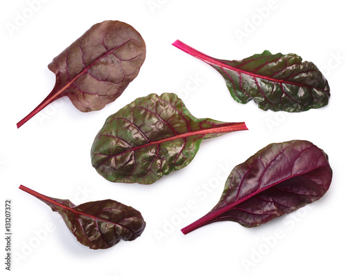 Chard (silverbeet, mangold) leaves, top view, paths photo