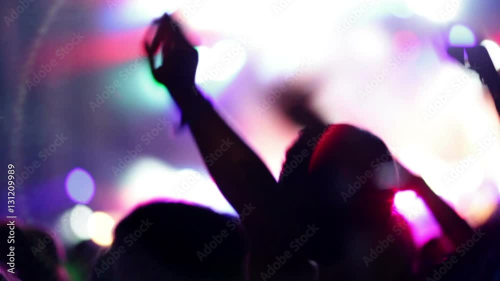 Footage of a crowd making party at a rock concert