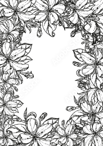 Vintage card with garden flowers. Hand drawn apple tree flowers. Vector illustration blooming branches cherry, pear flower, sakura