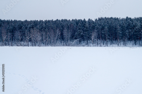 Winter field with the line of the blue forest