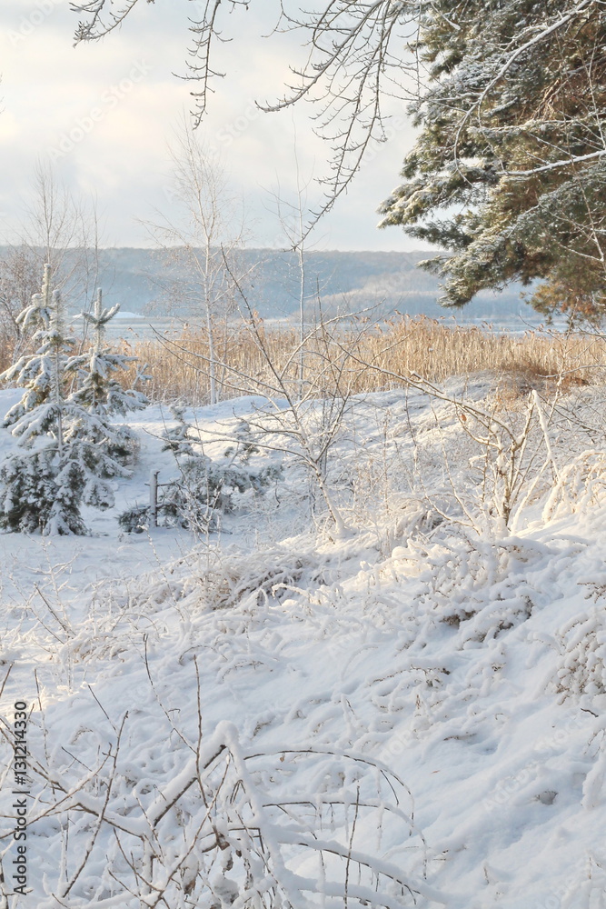 Мороз и солнце #3