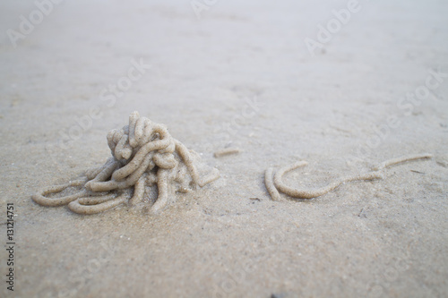 Spaghetti heap of sandworm (Arenicola marina) seen in tideland of ocean.  photo
