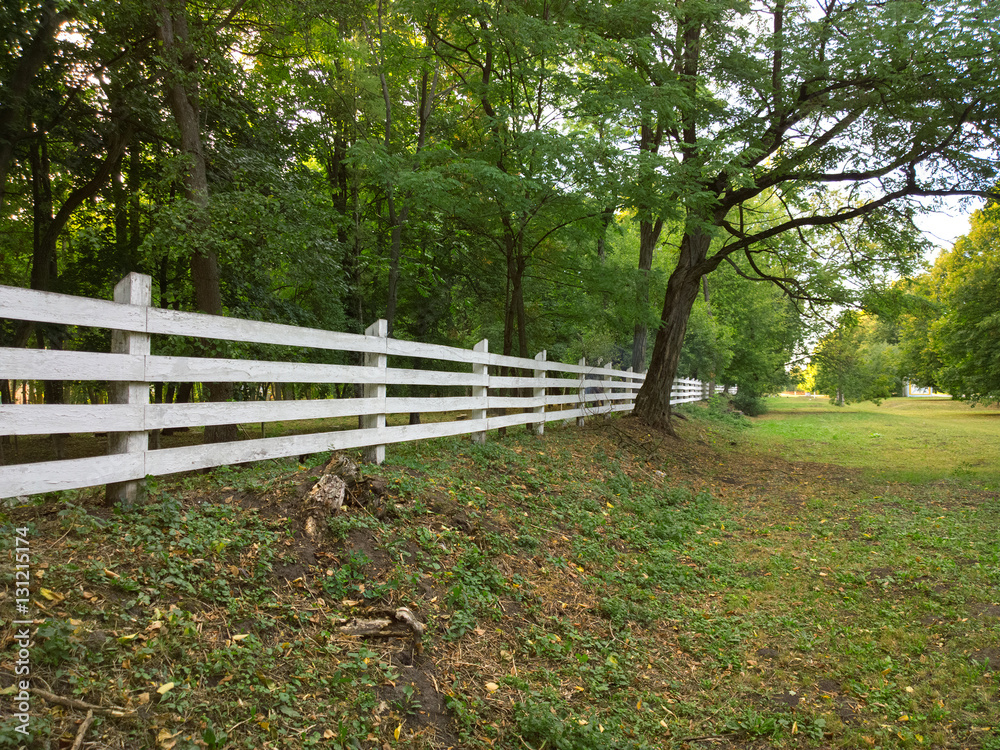 White fence. White fence.