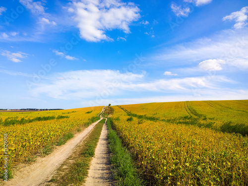 Road through the field.