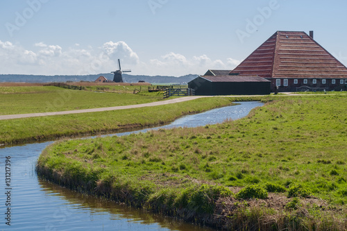 Dutch farm in spring in a polder near the dunes.
