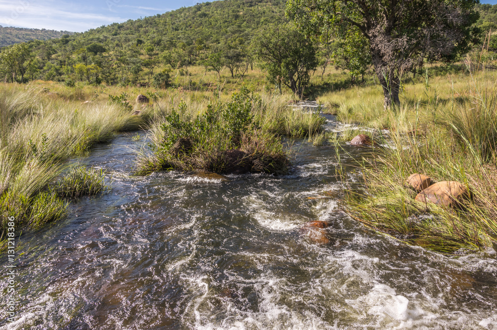 Welgevonden Game Reserve is Located within the Waterberg Mountains in Limpopo South Africa