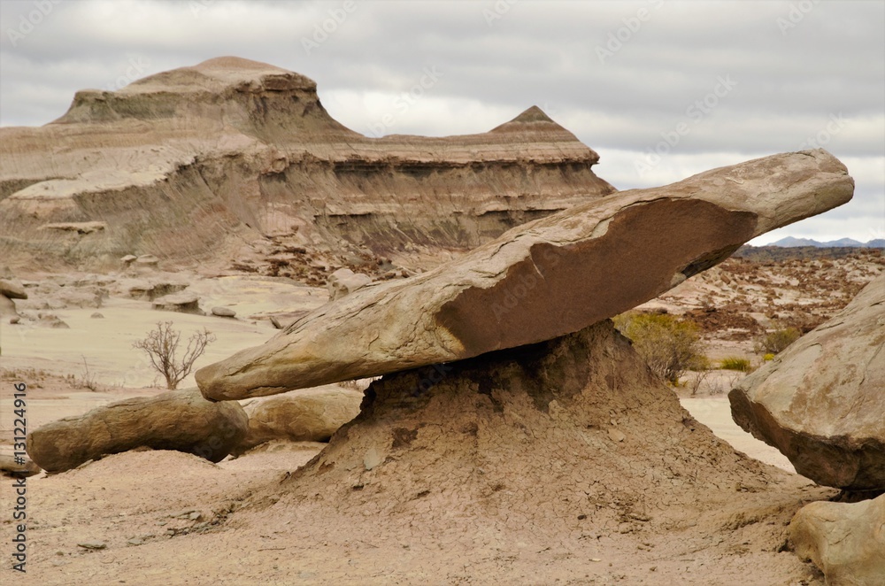 Long shot of the nature reserve Ischigualasto also called Valle de la Luna in the area San Juan in Argentina, South America