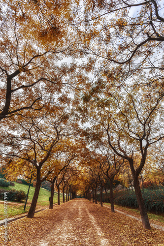 Park of Enrique Tierno Galvan. Madrid. Spain. 