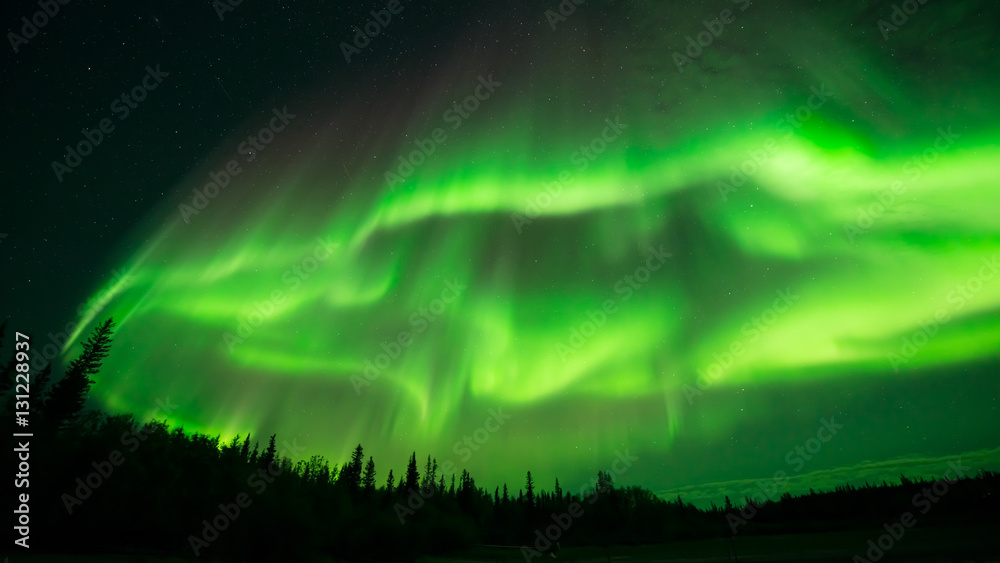 Aurora Cloud - A large cloud of aurora borealis spreading above a boreal forest. Yellowknife, NWT, Canada.