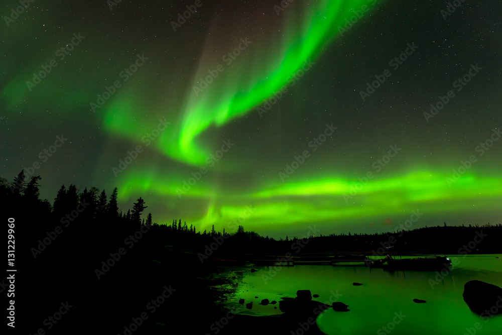 Dancing Lights - Colorful northern lights drop down from starry sky over evergreen forest surrounding a lake.