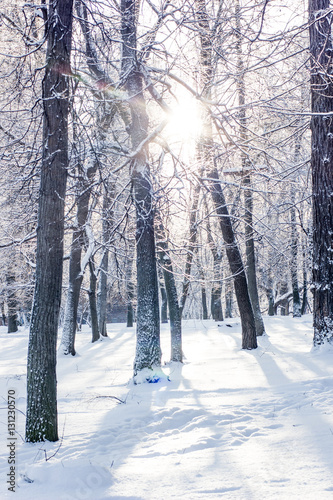 Cold winter in beautiful sn...