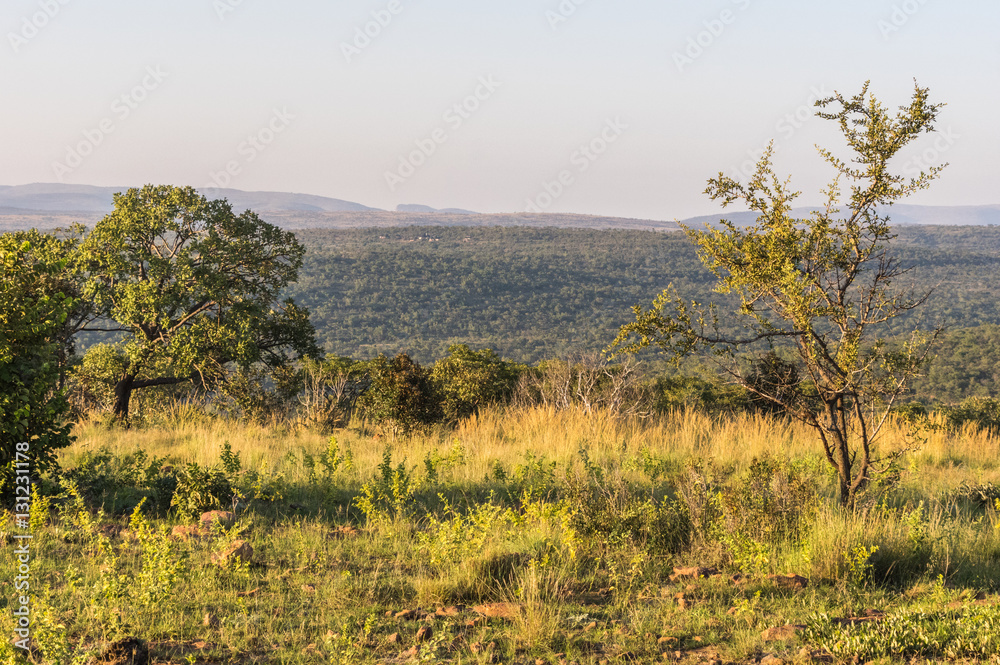 Welgevonden Game Reserve is Located within the Waterberg Mountains in Limpopo South Africa Welgevonden Game Reserve is Located within the Waterberg Mountains in Limpopo South Africa