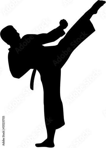 Karate fighter silhouette photo