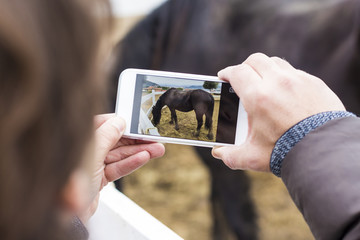 Man taking picture of a horse