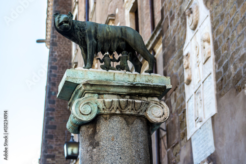 The Capitoline Wolf: Statue of the she-wolf suckling Romulus and