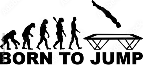 Evolution Trampoline - born to jump