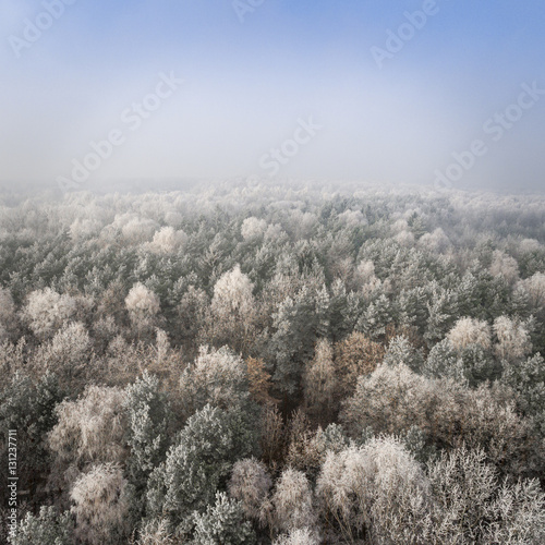 Aerial view of the winter background with a snow-covered forest