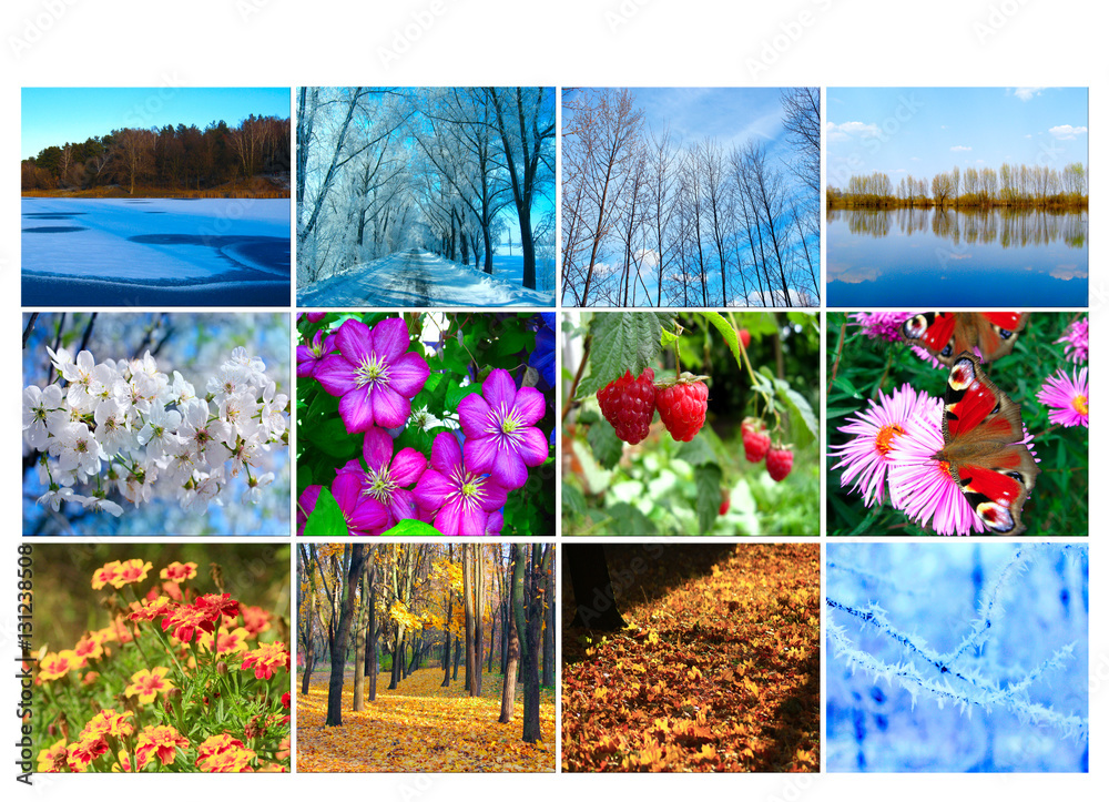 Naklejka premium blank with twelve colored images of nature for calendar