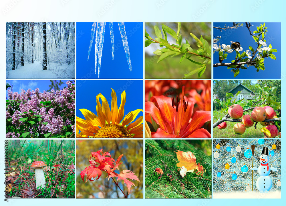 Naklejka premium blank with twelve colored images of nature for calendar
