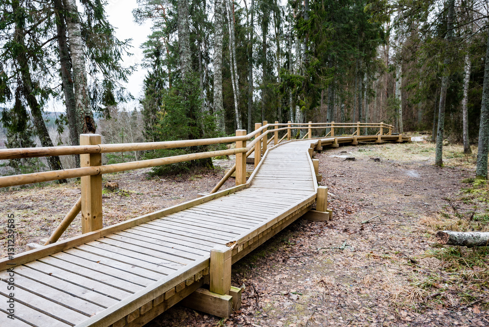 Diminishing perspective of wooden footbridge Diminishing perspective of wooden footbridge