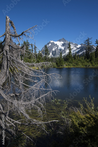 Mount Shuksan & Highwood Lake-North Cascades National Park3