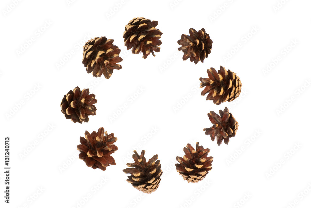 Isolated circle of pine cones on a white background