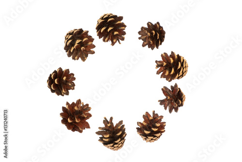 Wallpaper Mural Isolated circle of pine cones on a white background Torontodigital.ca