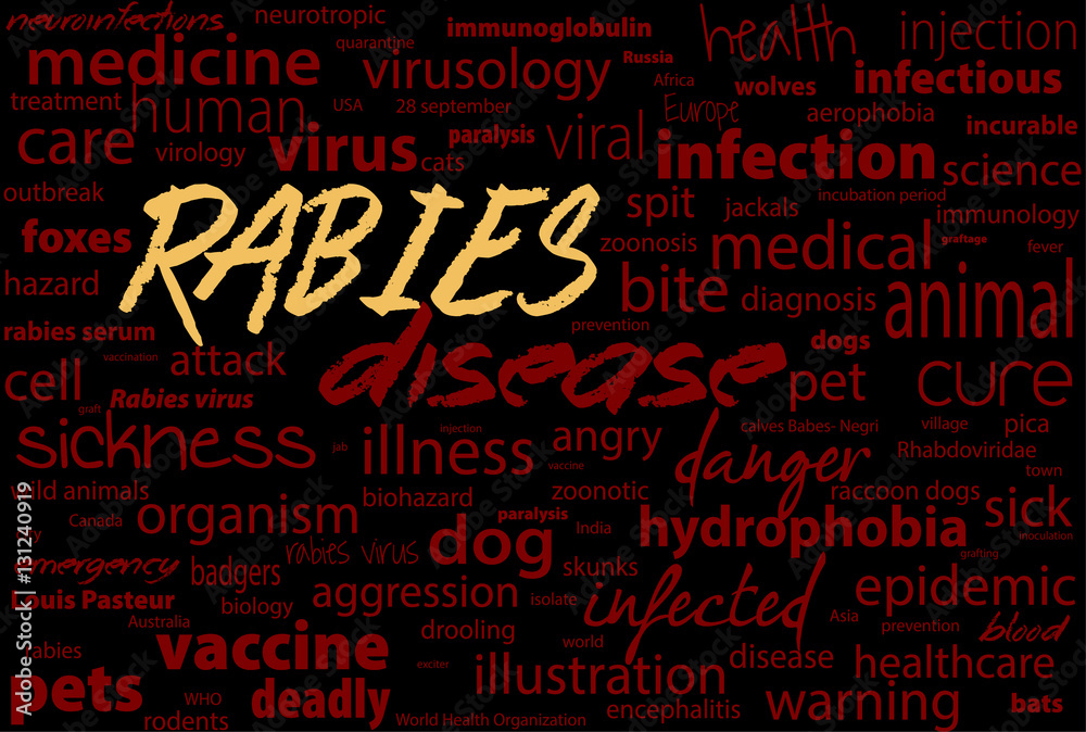 Rabies - viral incurable disease of humans and animals. Health care word text block.