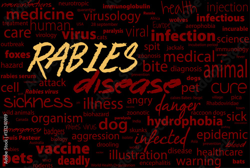 Rabies - viral incurable disease of humans and animals. Health care word text block.