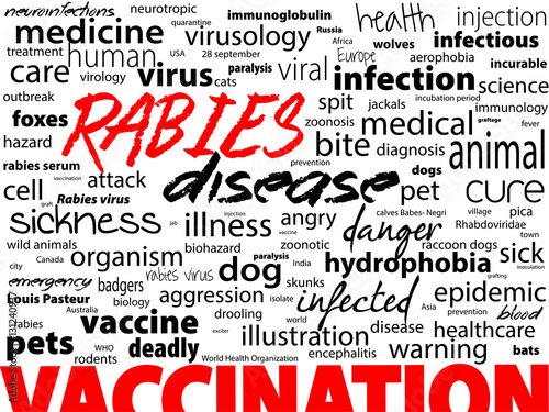 Rabies - viral incurable disease of humans and animals. Health care word text block.