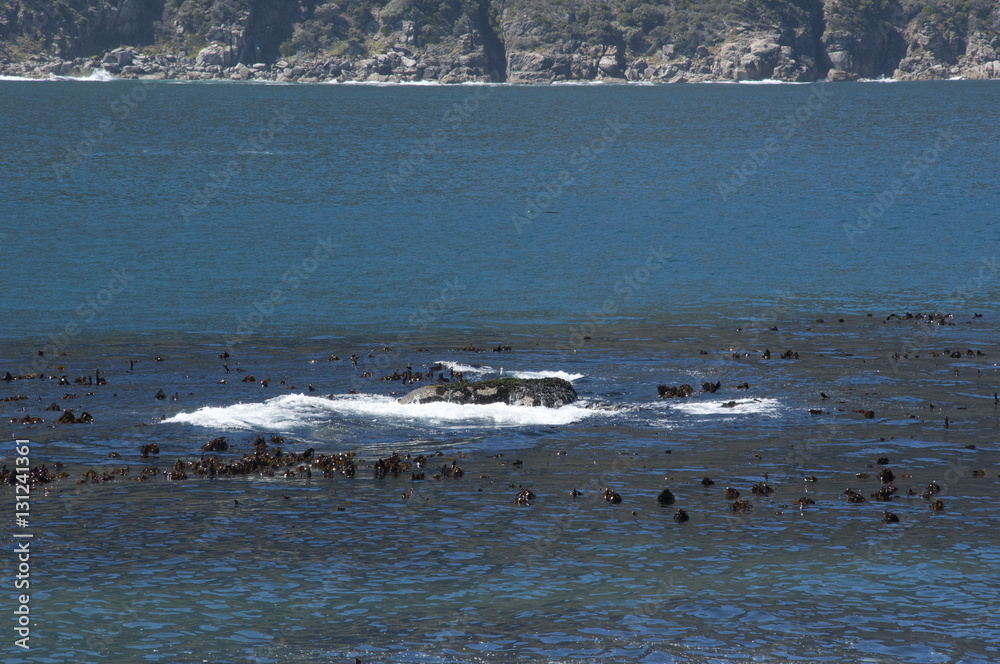 Sea, Rocks, Waves in Hout Bay, South Africa Sea, Rocks, Waves in Hout Bay, South Africa